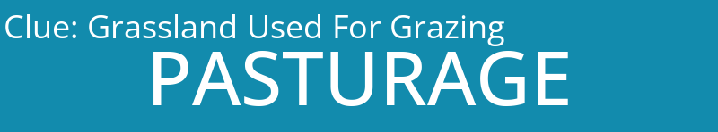 Grassland Used For Grazing