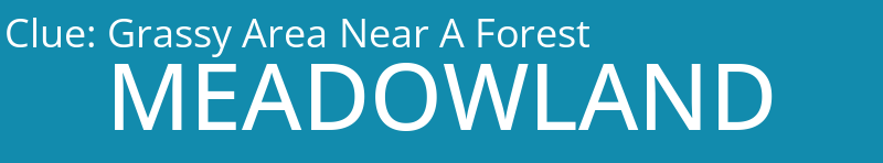 Grassy Area Near A Forest