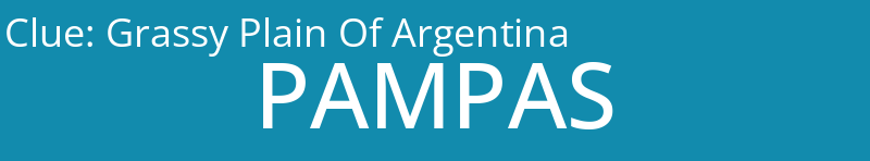 Grassy Plain Of Argentina