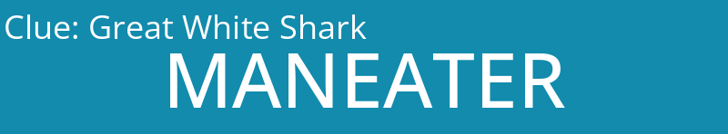 Great White Shark