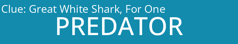 Great White Shark, For One