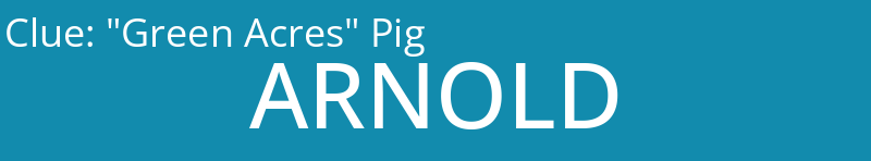 "Green Acres" Pig