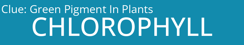 Green Pigment In Plants
