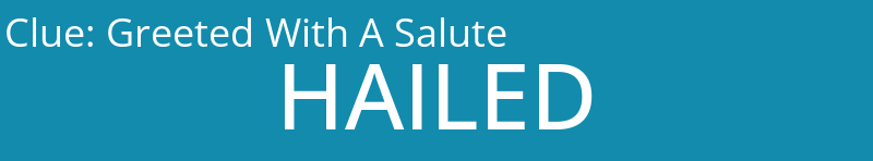 Greeted With A Salute