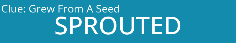 Grew From A Seed