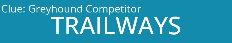 Greyhound Competitor