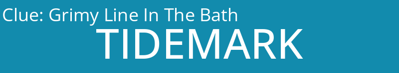 Grimy Line In The Bath