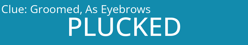 Groomed, As Eyebrows