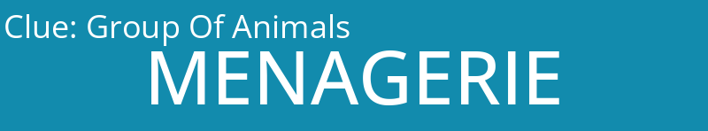 Group Of Animals