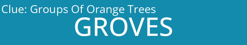 Groups Of Orange Trees