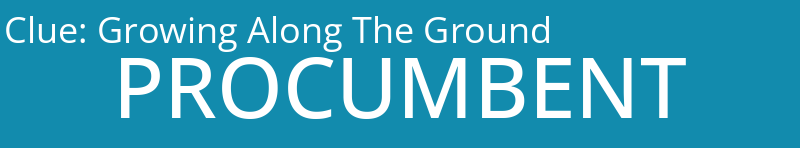 Growing Along The Ground