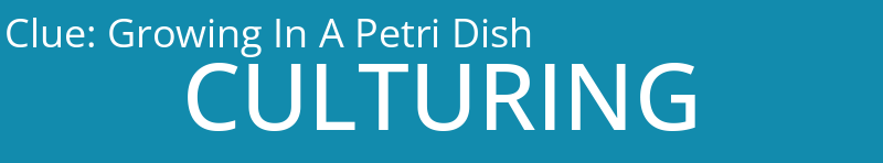 Growing In A Petri Dish