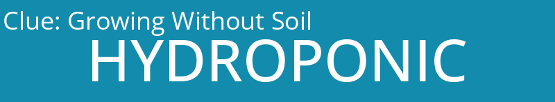 Growing Without Soil