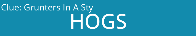 Grunters In A Sty