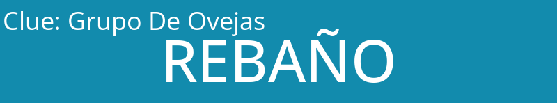 Grupo De Ovejas