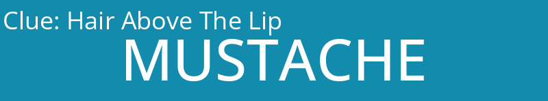 Hair Above The Lip
