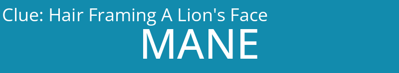 Hair Framing A Lion's Face