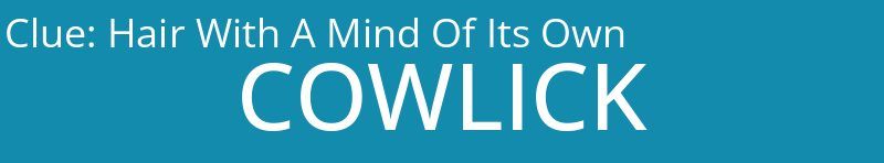 Hair With A Mind Of Its Own