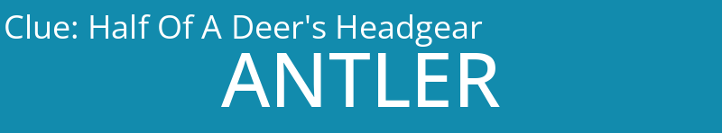 Half Of A Deer's Headgear