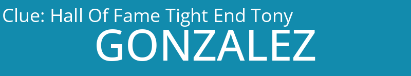 Hall Of Fame Tight End Tony