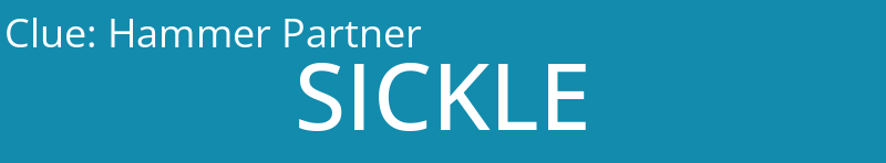 Hammer Partner