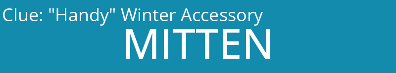 "Handy" Winter Accessory