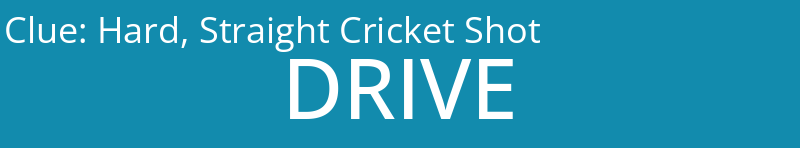 Hard, Straight Cricket Shot