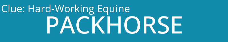 Hard-Working Equine
