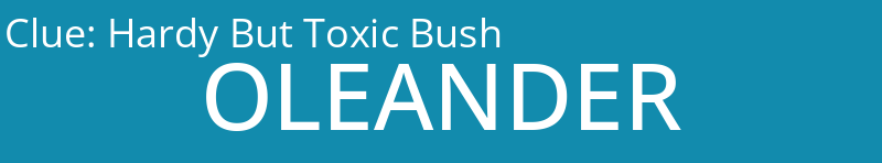 Hardy But Toxic Bush