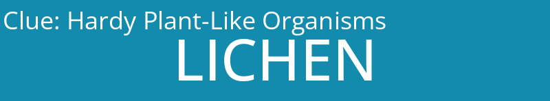 Hardy Plant-Like Organisms