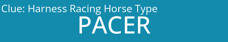 Harness Racing Horse Type