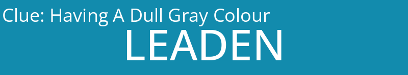 Having A Dull Gray Colour