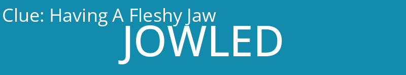 Having A Fleshy Jaw