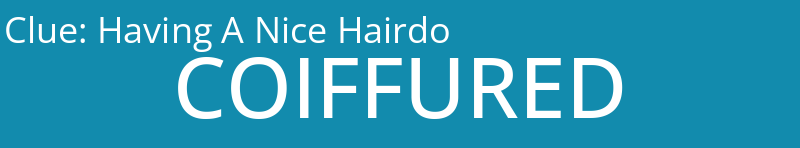 Having A Nice Hairdo