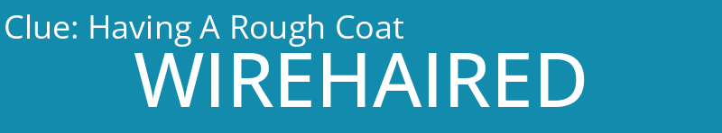 Having A Rough Coat