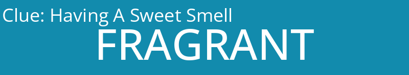 Having A Sweet Smell