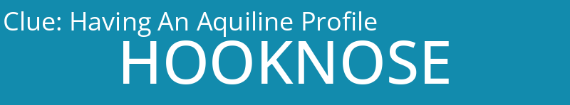 Having An Aquiline Profile
