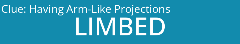 Having Arm-Like Projections