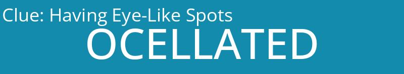 Having Eye-Like Spots