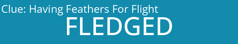 Having Feathers For Flight