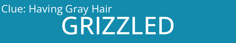 Having Gray Hair