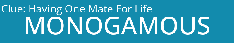 Having One Mate For Life