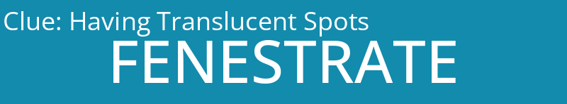 Having Translucent Spots