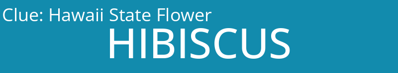 Hawaii State Flower
