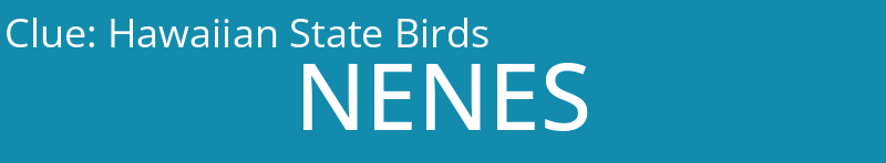 Hawaiian State Birds