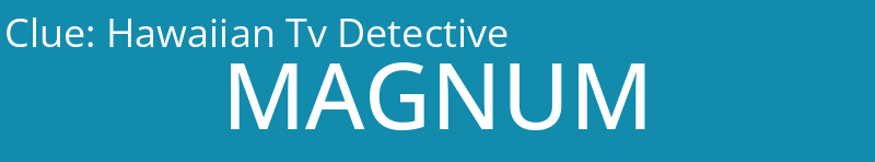 Hawaiian Tv Detective
