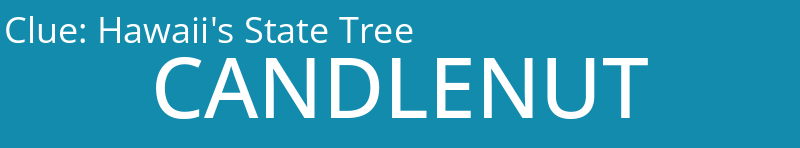 Hawaii's State Tree