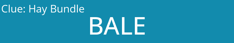 Hay Bundle