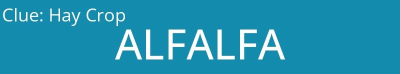 Hay Crop