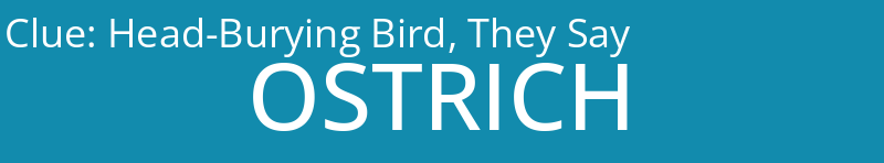 Head-Burying Bird, They Say